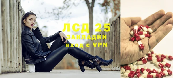 2c-b Гусев